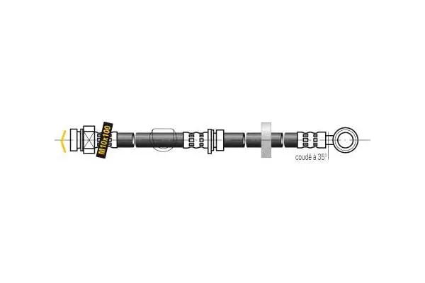 Brake Hose (F6024)