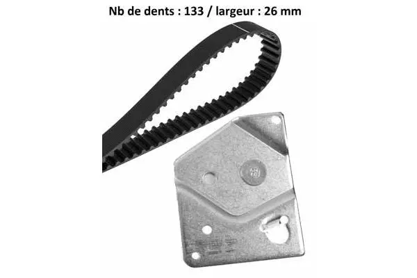 Timing Belt Kit