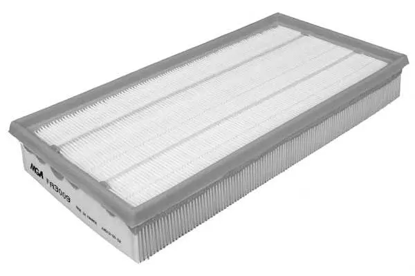 Air Filter (FA3009)