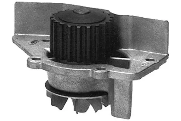 Water Pump, engine cooling (W391)