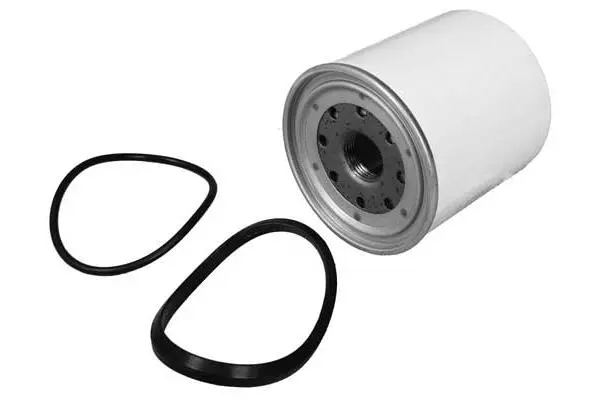 Fuel Filter (FG2126)