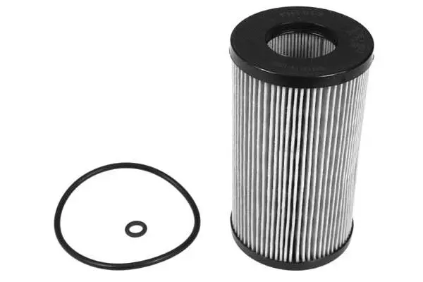 Oil Filter (FH1013)