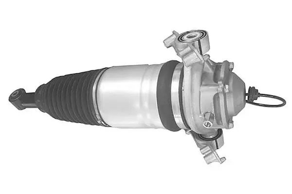 Air Suspension Strut (AMP3005)