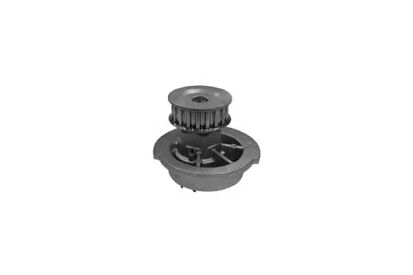 Water Pump, engine cooling (W694)
