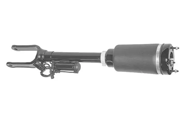 Air Suspension Strut (AMP1010)