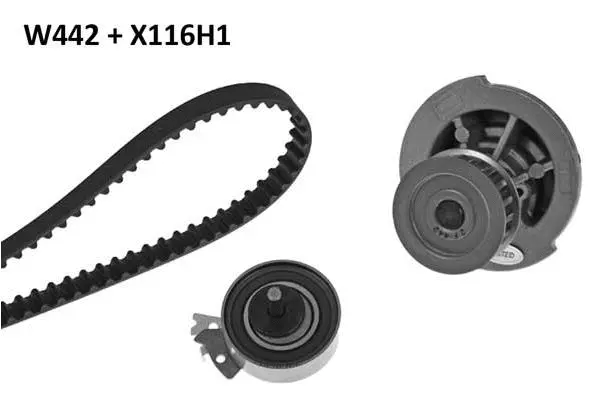 Water Pump & Timing Belt Kit (442K1)