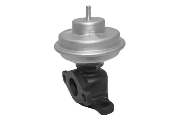 EGR Valve (VA7173)