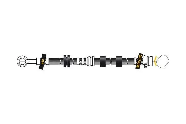 Brake Hose (F6909)