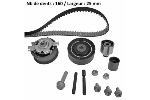 Timing Belt Kit