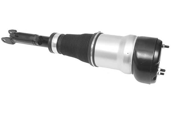 Air Suspension Strut (AMP2016)