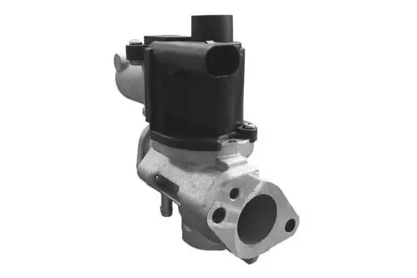 EGR Valve (VA7059)