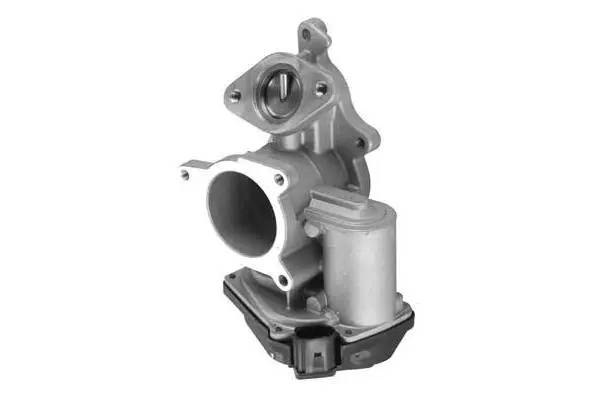 EGR Valve (VA7115)
