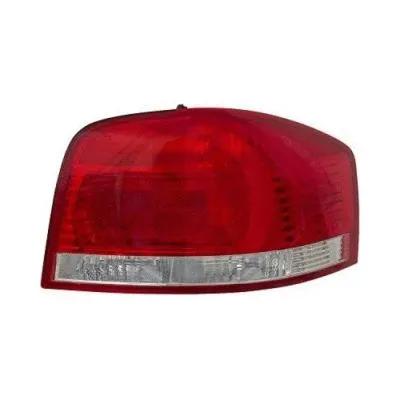 Tail Light Assembly (1031090)