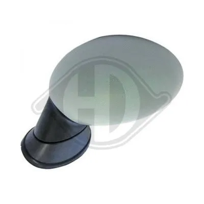 Exterior Mirror (1206224)
