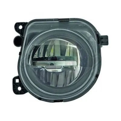 Front Fog Light (1225189)