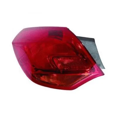 Tail Light Assembly (1807090)