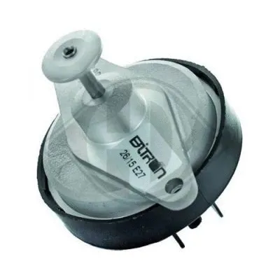 EGR Valve (1301022)
