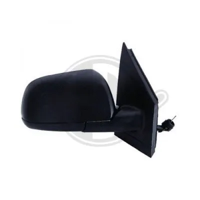 Exterior Mirror (2205024)