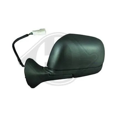 Exterior Mirror (4560124)