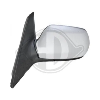 Exterior Mirror (5618225)