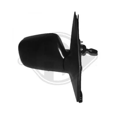 Exterior Mirror (6605324)