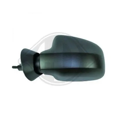 Exterior Mirror (4421024)