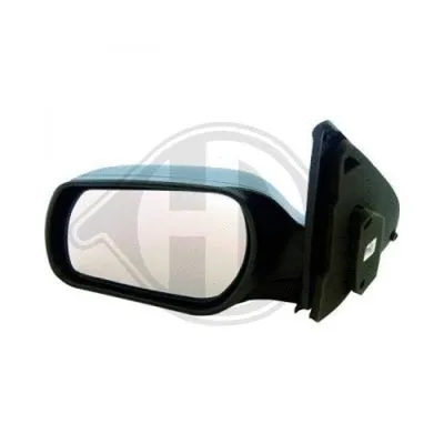 Exterior Mirror (5604325)