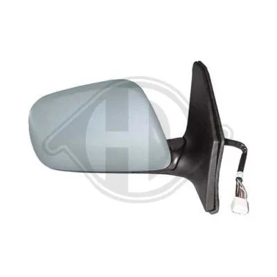 Exterior Mirror (6624324)