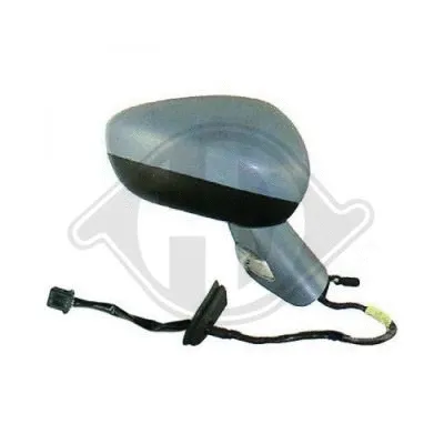 Exterior Mirror (4062324)