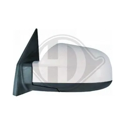Exterior Mirror (6860024)