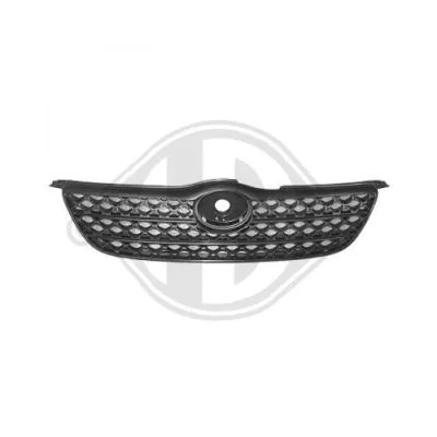 Radiator Grille (6618040)