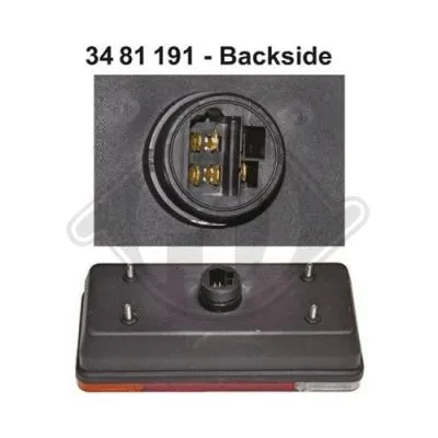 Tail Light Assembly (3481191)