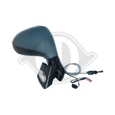 Exterior Mirror (4226024)
