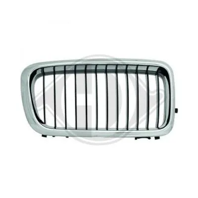 Radiator Grille (1242140)