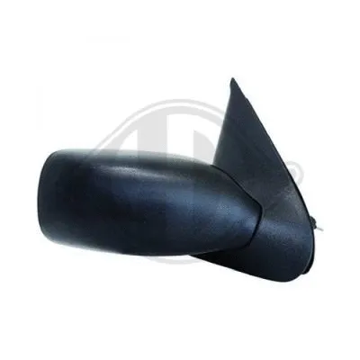Exterior Mirror (1403024)