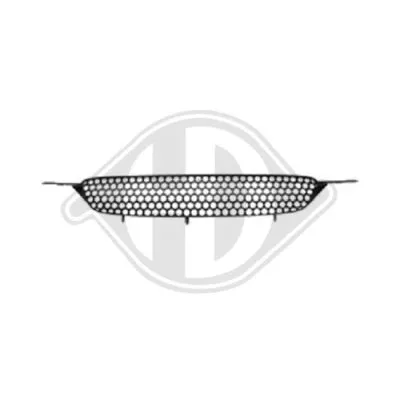 Radiator Grille (6616040)