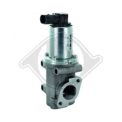 EGR Valve (1301007)