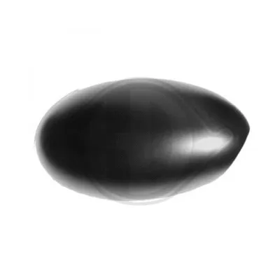 Cover, exterior mirror (1205327)