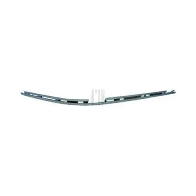Trim/Protection Strip, bumper (1223063)