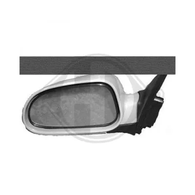 Exterior Mirror (6912225)