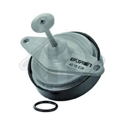 EGR Valve (1301021)