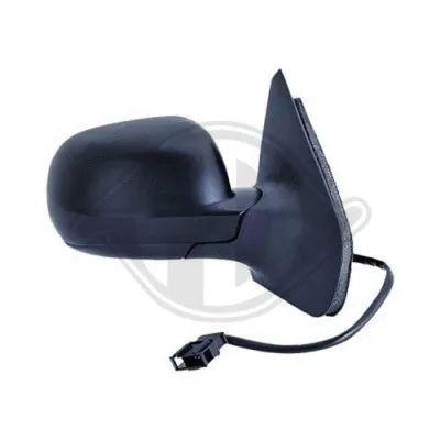 Exterior Mirror (2213424)