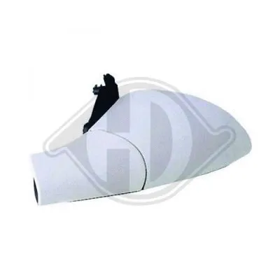 Exterior Mirror (1824424)