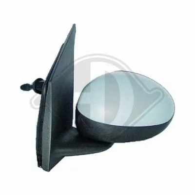 Exterior Mirror (6600025)