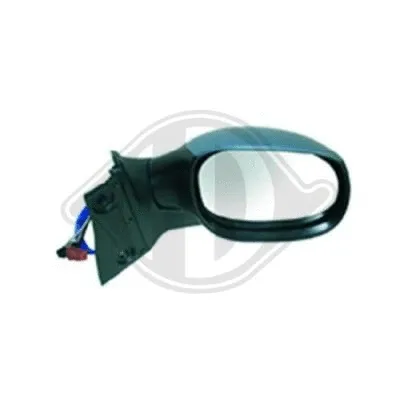 Exterior Mirror (4200225)