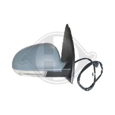 Exterior Mirror (2214124)