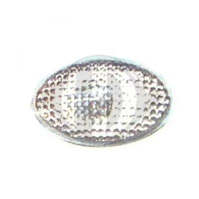 Direction Indicator (1812077)