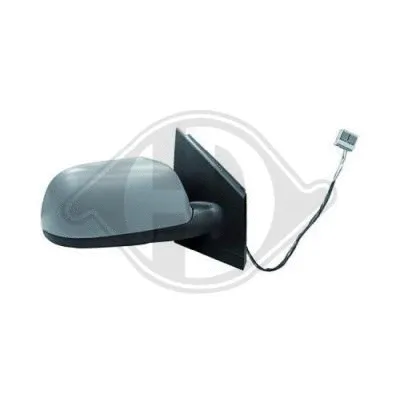 Exterior Mirror (2205324)