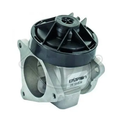EGR Valve (1301004)