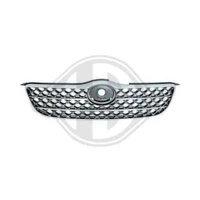 Radiator Grille (6618041)